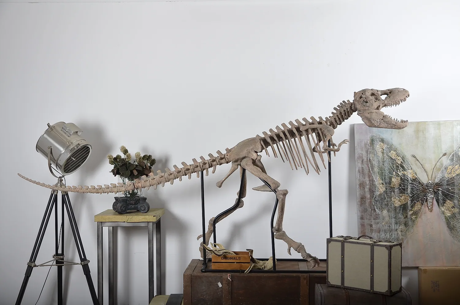 Custom Dinosaur Skeleton