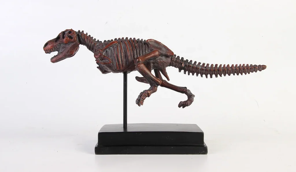 Dinosaur Skeleton Collection