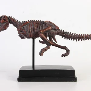 Dinosaur Skeleton Collection
