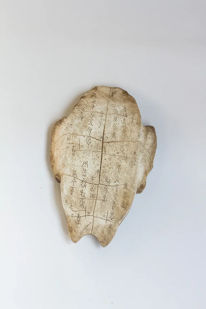Oracle Bone Shell Relief