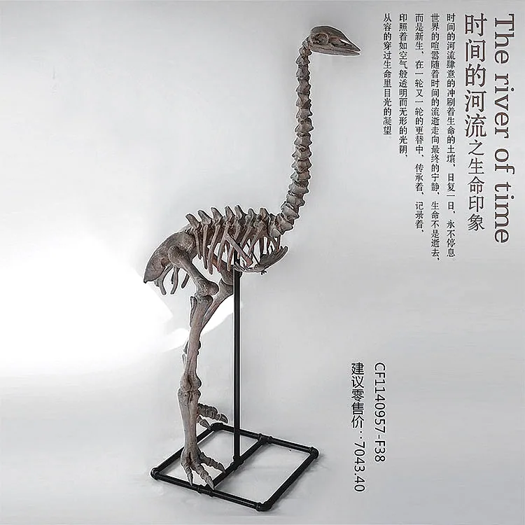 Prehistoric Bird Skeletons